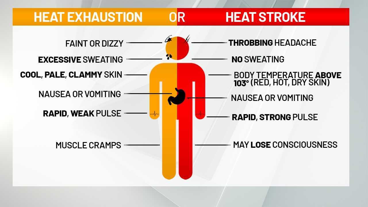 Warning Signs and Symptoms of Heat exhaustion and heat stroke - Fuji ...